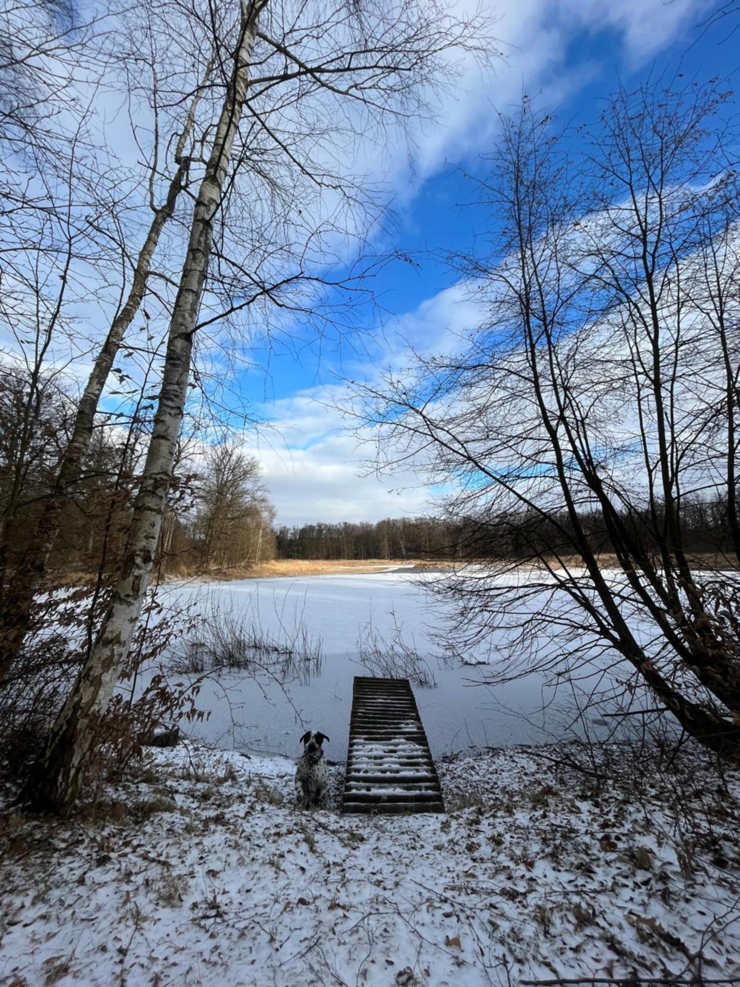 Dvůr Nové Zámky Mladec Exterior foto