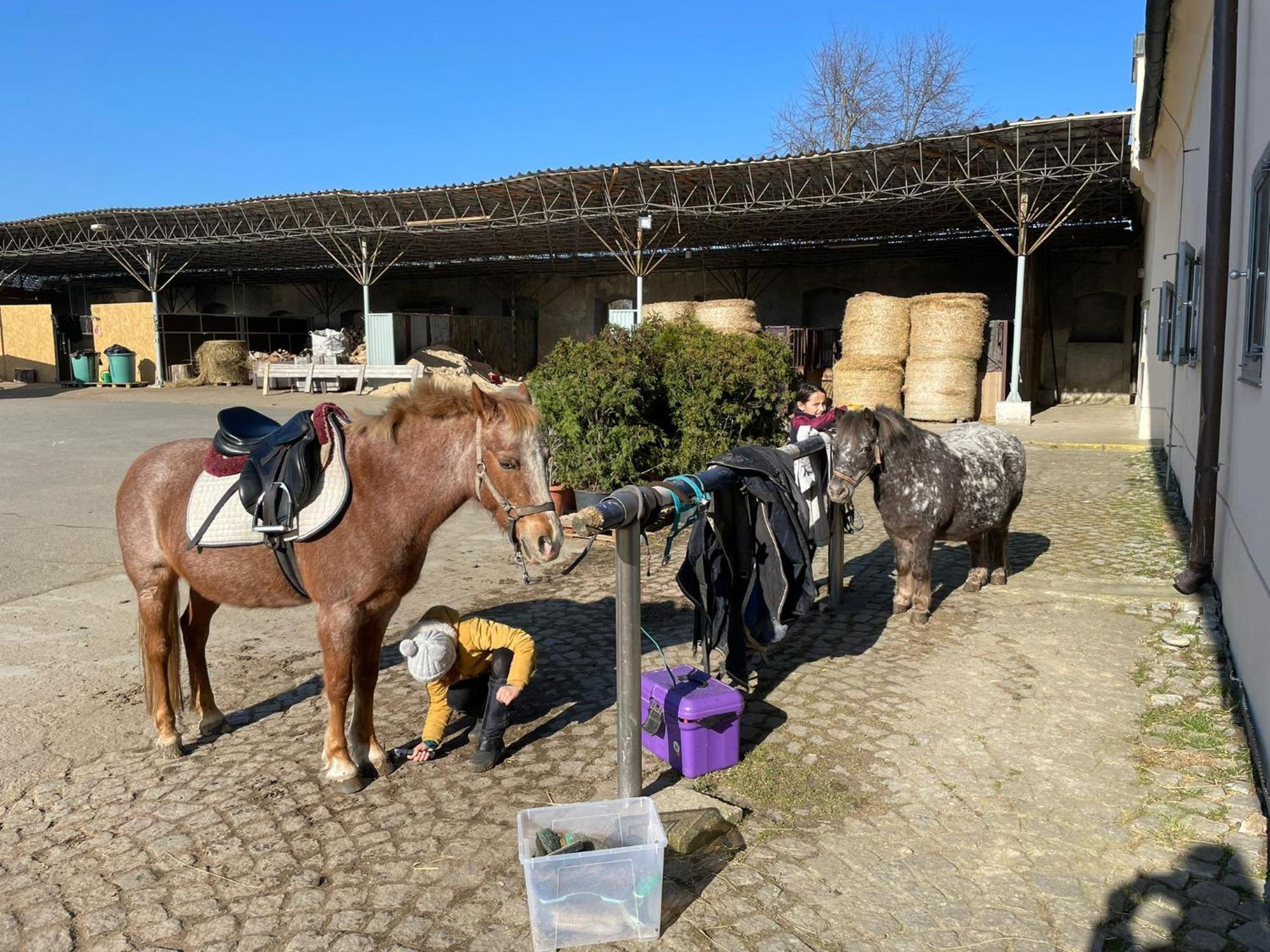 Dvůr Nové Zámky Mladec Exterior foto