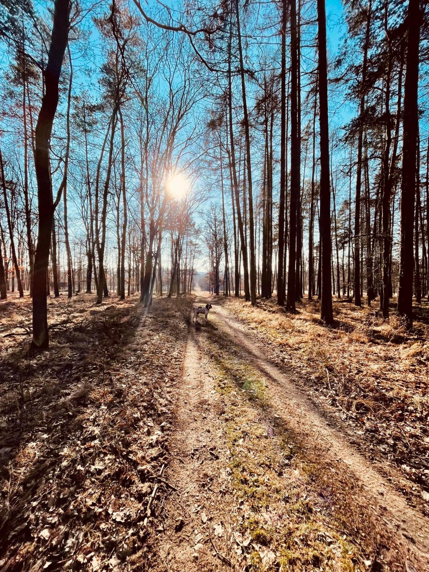 Dvůr Nové Zámky Mladec Exterior foto