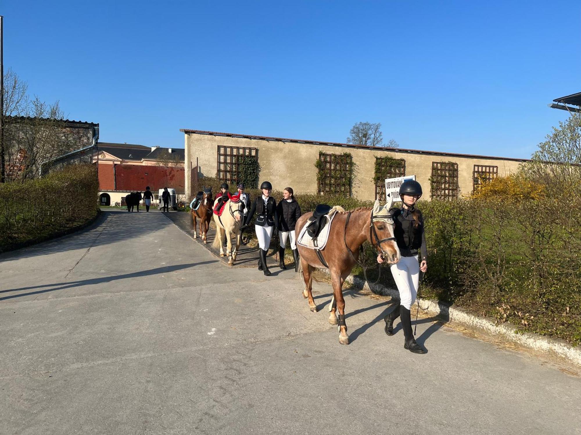 Dvůr Nové Zámky Mladec Exterior foto