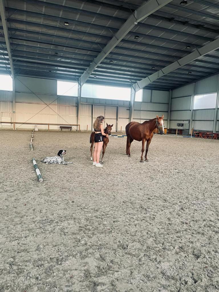 Dvůr Nové Zámky Mladec Exterior foto