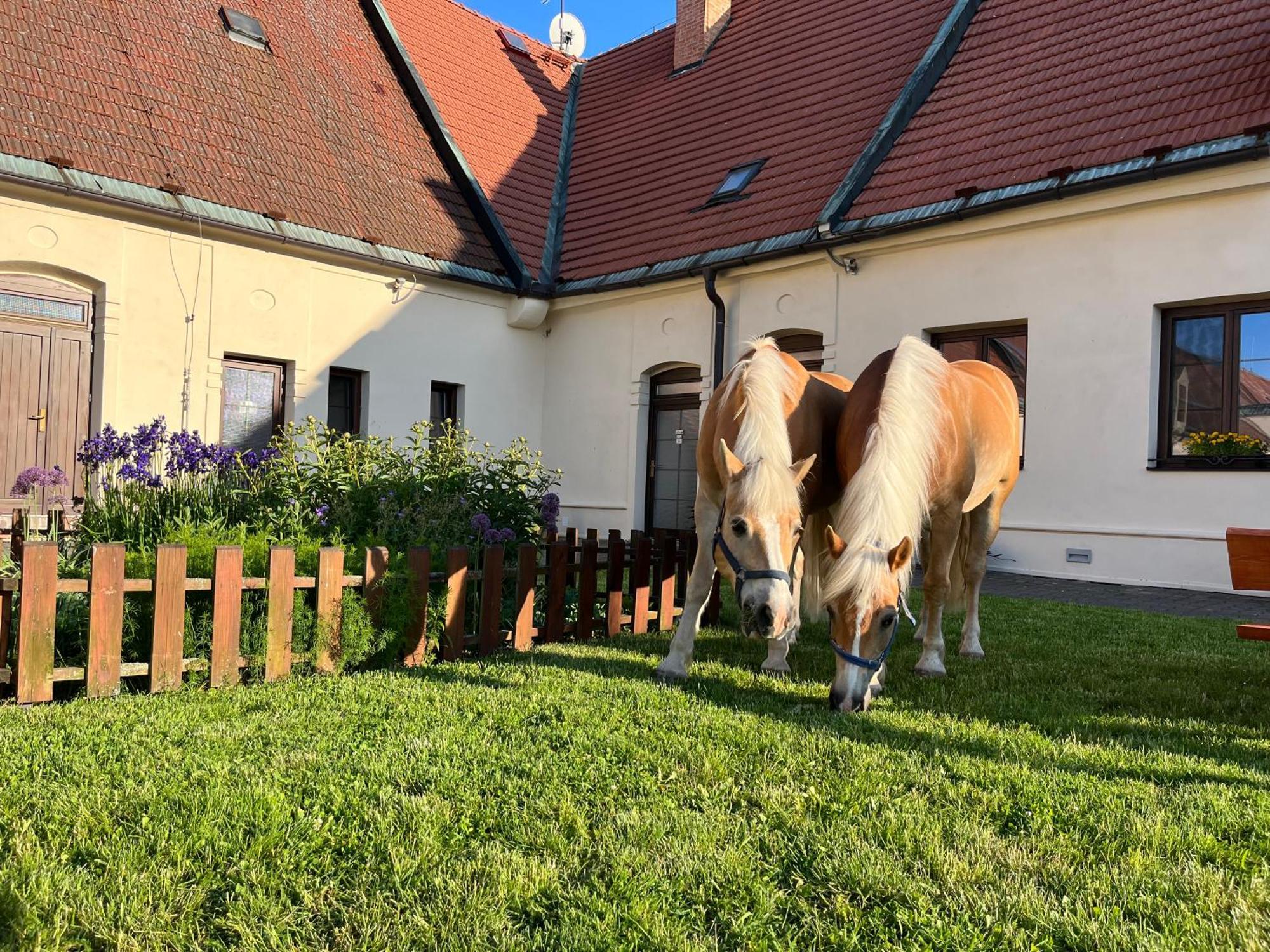 Dvůr Nové Zámky Mladec Exterior foto