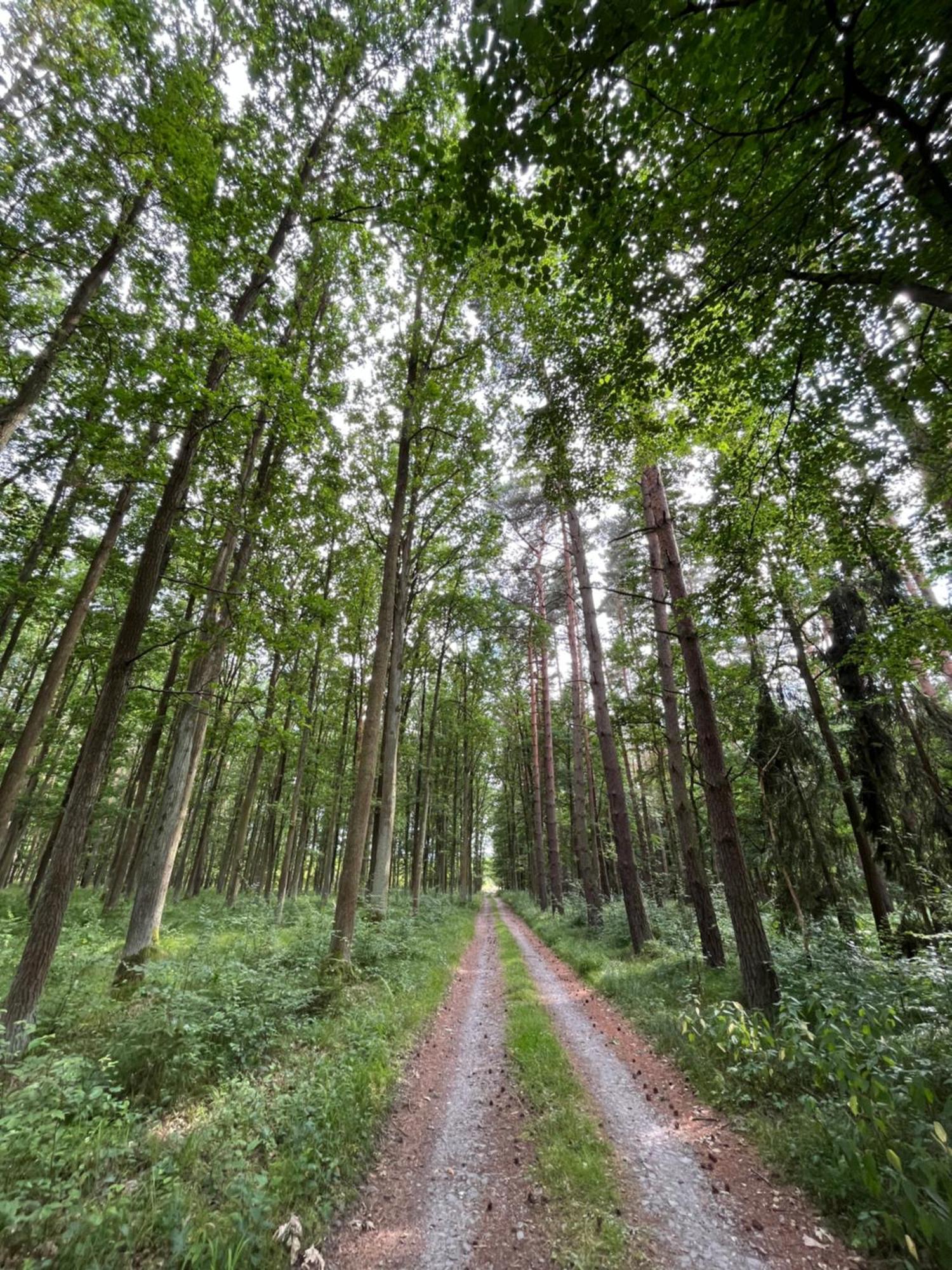 Dvůr Nové Zámky Mladec Exterior foto