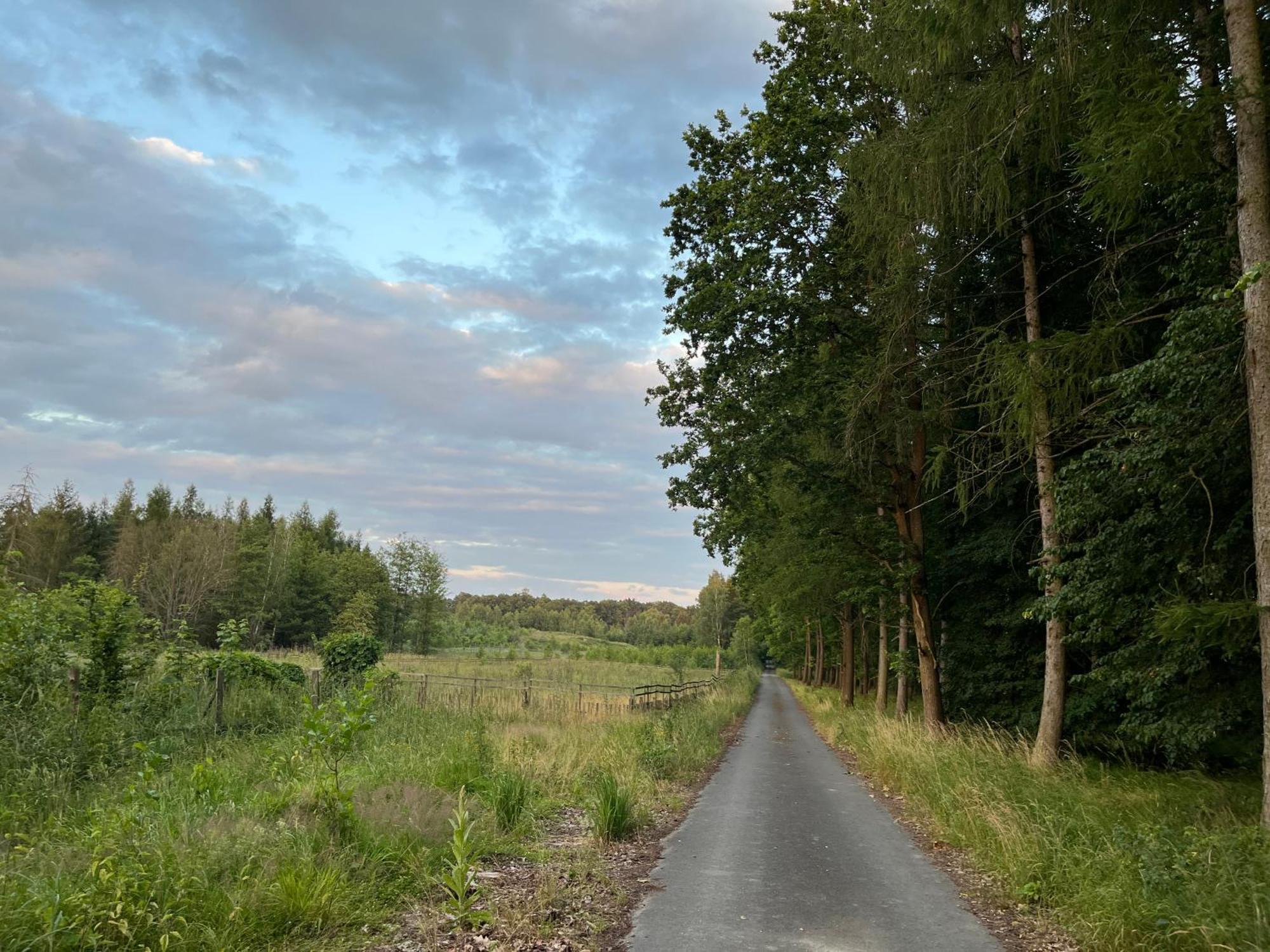 Dvůr Nové Zámky Mladec Exterior foto