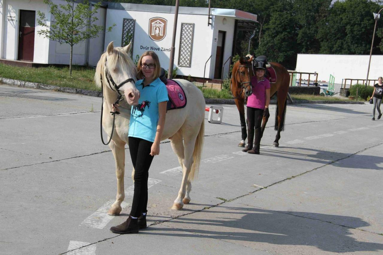 Dvůr Nové Zámky Mladec Exterior foto